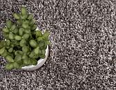 245cm x 245cm Luxe Solid Shag Square Rug thumbnail image 4