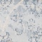 See color option for Unique Loom 2' 2 x 3' Paris Rug