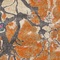 See color option for 6' x 6' Aria Round Rug