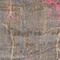 Link to variation of this rug: SKU#3127550