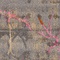 See color option for 6' x 9' Delilah Rug
