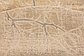 8' x 8' Aria Round Rug thumbnail image 18