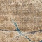 See color option for 6' x 6' Aria Round Rug