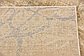 5' x 8' Aria Rug thumbnail image 21