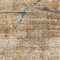 See color option for 6' x 9' Delilah Rug