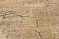 8' x 10' Aria Rug thumbnail image 15