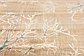 9' x 12' Aria Rug thumbnail image 14