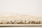 9' x 12' Aria Rug thumbnail image 18