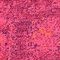 See color option for 4' x 6' Palazzo Rug