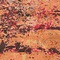 See color option for 9' x 12' Casablanca Rug
