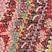See color option for 2' 7 x 10' Santa Fe Runner Rug