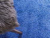 10' x 13' Solid Shag Rug thumbnail