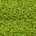 Link to variation of this rug: SKU#3126284