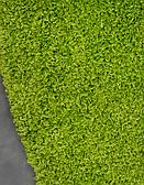 6' x 6' Solid Shag Round Rug thumbnail