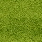 Link to variation of this rug: SKU#3127903
