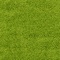 See color option for 12' x 15' Solid Shag Rug