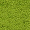 See color option for 4' x 6' Solid Shag Rug