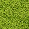 Link to variation of this rug: SKU#3127983
