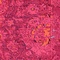 See color option for 7' x 10' Palazzo Rug