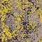See color option for 10' 6 x 16' 5 Casablanca Rug
