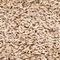 Link to variation of this rug: SKU#3127850
