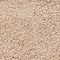 See color option for 4' x 6' Solid Shag Rug