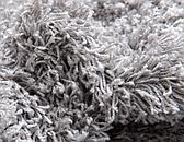 6' x 6' Solid Shag Round Rug thumbnail