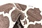 10' 6 x 16' 5 Trellis Rug thumbnail image 18