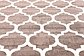10' x 14' Trellis Rug thumbnail image 13