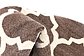 10' x 14' Trellis Rug thumbnail image 18