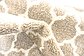 2' x 6' Lattice Runner Rug thumbnail image 9
