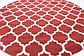 305cm x 305cm Trellis Round Rug thumbnail image 6