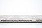 Unique Loom 2' 7 x 13' Trellis Runner Rug thumbnail image 7