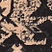 Link to variation of this rug: SKU#3128723