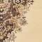 See color option for 7' x 10' Mashad Design Rug