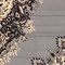 See color option for 8' x 8' Mashad Design Square Rug