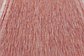 5' x 8' Outdoor Border Rug thumbnail image 4