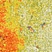 Link to variation of this rug: SKU#3125429