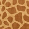 See color option for 9' x 12' Safari Rug