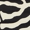See color option for 6' x 6' Safari Square Rug