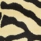 See color option for 3' 3 x 5' 3 Savannah Rug