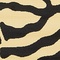 See color option for 6' x 6' Safari Square Rug