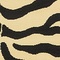 See color option for 5' x 8' Savannah Rug