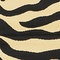 See color option for 6' x 9' Safari Rug