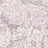 See color option for 2' 7 x 10' New Vintage Runner Rug