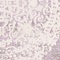 See color option for 3' 3 x 5' 3 New Vintage Rug