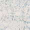 See color option for 6' x 6' New Vintage Round Rug