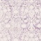 Link to variation of this rug: SKU#3130038