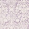 See color option for 9' x 12' Modern Classical Rug