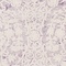 See color option for 5' x 8' New Vintage Rug